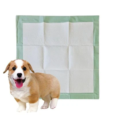 Hushpet zaļā tēja dezodorizējošais mājdzīvnieku absorbcijas spilventiņš